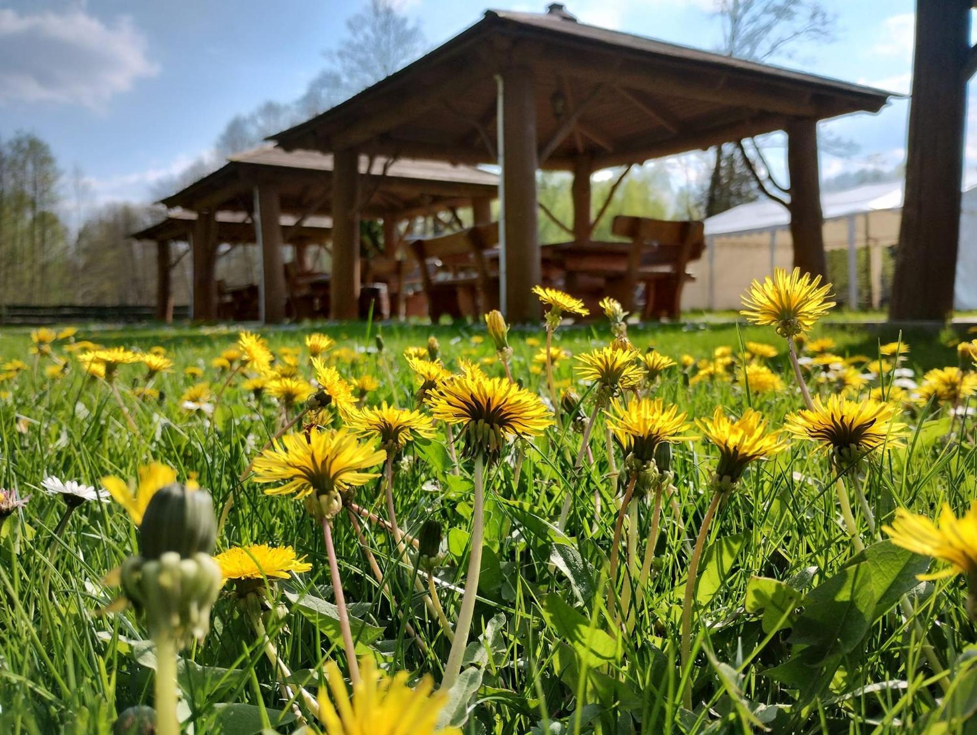 Mazowieckie Siolo Julianowka Farm stay Julianow (Minsk)