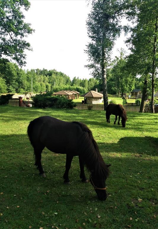 Mazowieckie Siolo Julianowka